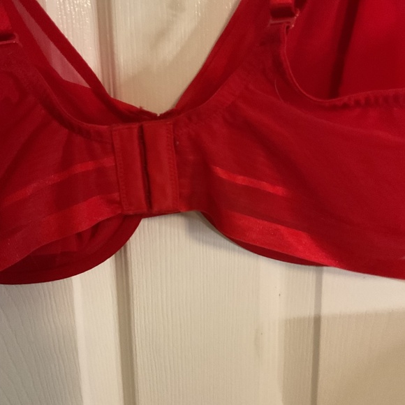 Parfait Double Mesh Lined Plunge Bra Red Underwire Semi Sheer - Picture 5 of 9